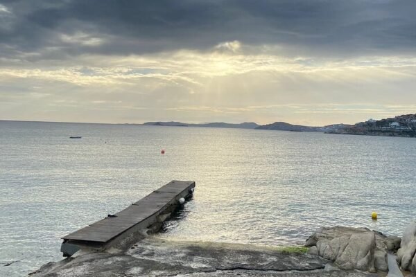 Mykonos Safari Island Tour - According To The Locals - Image 8